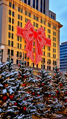 Christmas Season Holiday Photo with Festive Winter Decorations