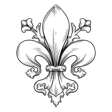 baroque fleur de lis vector with line art drawing illustration