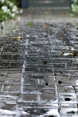 water puddle on the sidewalk. autumn weather, rainy day. dry leaves on wet asphalt. there is a light rain. reflexes, drops of water. shallow depth of field, soft selective focus.