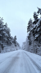 winter forest road. A snow-covered road stretches through a tranquil winter landscape, framed by trees. Snow-covered road, cold season, beauty of nature in winter. snowfall, trees covered with snow
