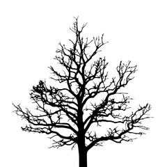 Fototapeta premium Silhouette of a bare tree, perfect for artistic projects or nature-themed designs
