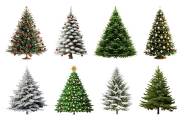 Fototapeta premium PNG Diverse festive Christmas trees displayed, element set on transparent background