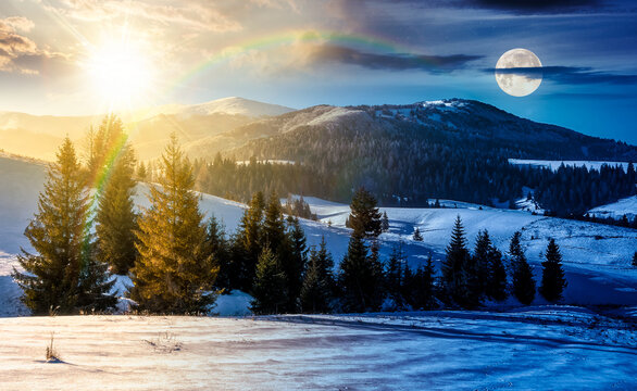 spruce forest on a meadow covered with snow in mountains. day and night time change concept. beautiful landscape in good winter weather with sun and moon at twilight. harmony and progress calendar
