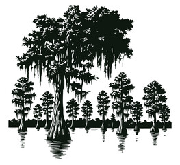 Detailed Cypress Tree in Swamp Black and White Vector Illustration