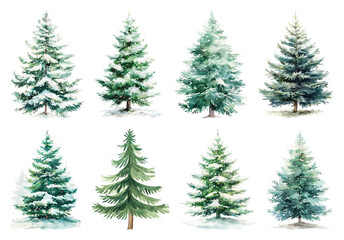 Obraz premium Watercolor evergreen trees collection.