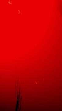 8mm Super 8 Film Frame Texture &ndash; Old Cinematic Film Grain and Light Leak Burn Overlay