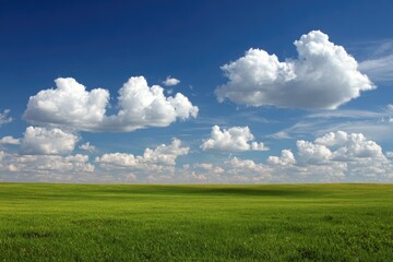 Obraz premium Vast green field under a vibrant blue sky dotted with fluffy white clouds. A flat landscape stretches to the horizon