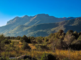 Peaceful mountain valley with sunlit slopes, dense woodland and open meadows under a clear blue sky. A calm rural landscape capturing the natural beauty and serenity of Montenegro’s wilderness.