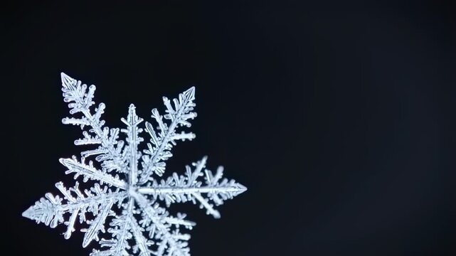 A detailed image showcasing a glistening, intricate snowflake against a stark black backdrop