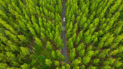 Aerial view of dark green forest road and white electric car Natural landscape and elevated roads...