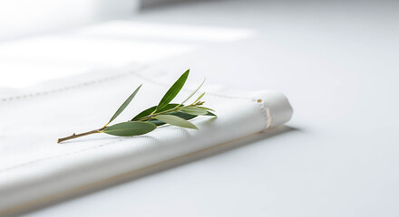 Olive branch placed on rolled cloth napkin on white background  