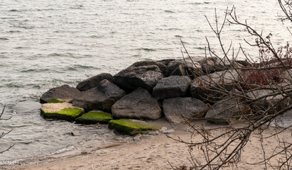 moss covered rocks at the lake