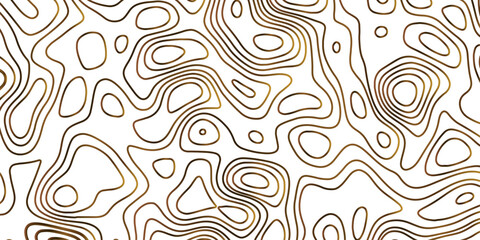 Topographic map background geographic line map with elevation assignments. packaging , web, geographic grid map vector illustration.
