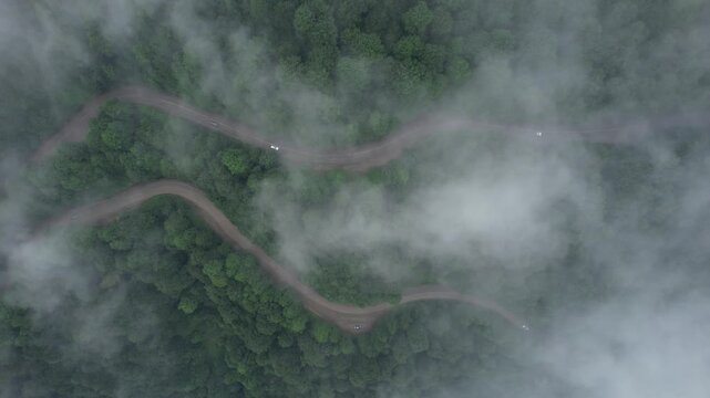 Aerial view of a winding road cutting through a verdant forest, partially veiled by ethereal white clouds, creating a mystical landscape, Deylaman, Gilan Province, Iran.