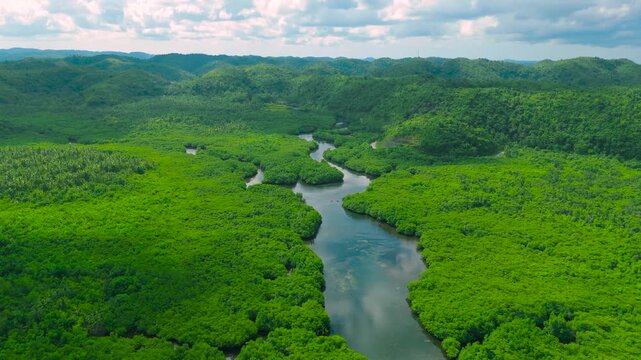 Aerial drone view of a winding river through a dense green forest, Anavilhanas archipelago, Negro River, Amazonas, Brazil.