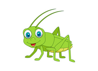 Insect vector.ai