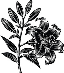 Download black and white lily flower vector illustration for design use eps silhouette