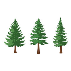 Collection of Evergreen Pine Trees Vector Bundle, Hand Drawn Conifer Forest Elements for Nature Landscape, Winter Holiday Design, Outdoor Scenery Decoration, Editable PNG EPS Illustration Set