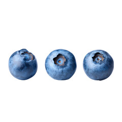 Obraz premium Three fresh blueberries on transparent background