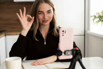 Vlogging concept. Young beautiful woman recording video at home showing OK gesture. Student blogger records content for social media on smartphone camera