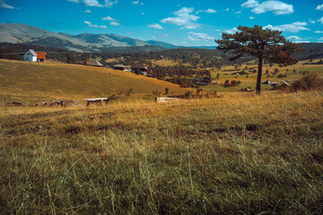 Autumn period on Zalatibor mountain in Serbia