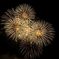 Golden yellow fireworks explode in a dark night sky creating a dazzling display of light and celebration
