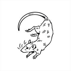 Charming hand-drawn rat illustration, perfect for quirky designs and unique branding projects now!