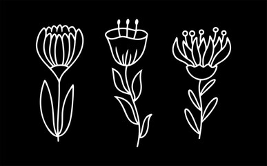 Flower clipart. Cartoon sketch icon. Vector stock illustration
