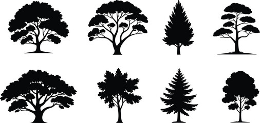 Tree silhouette vector collection, various forest plants like oak pine and spruce, black nature graphics isolated on white
