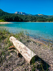 Weathered log lying on the dry lakeshore of Black Lake in Durmitor, Montenegro. Clear turquoise water, forested hills and rocky mountain peaks create a peaceful natural landscape.
