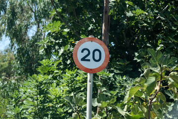 Twenty speed limit sign amid bright summer foliage within daylight