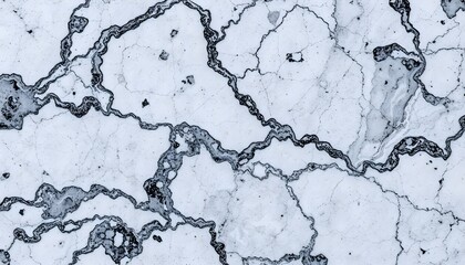 Abstract close-up of white marble with intricate grey veining forming a network of organic shapes and patterns across the surface.