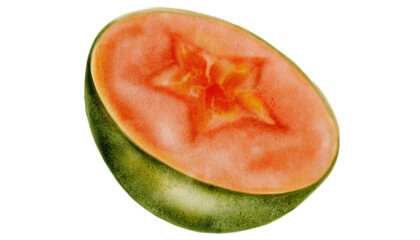 Papaya watercolor art. Hand drawn half ripe tropical fruit on white background. Ideal for logo, cosmetics and product packaging