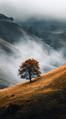 Solitary Tree Surrounded by Misty Autumn Hills &ndash; Serene Fall Landscape, Foggy Nature Scenery