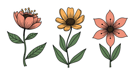 A trio of stylized hand-drawn flowers in a vintage botanical illustration style.