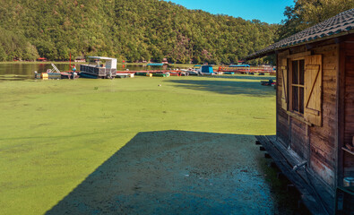 Life on the lake in early autumn