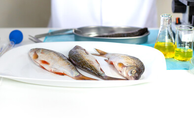 Research fish in the lab. Selective focus.