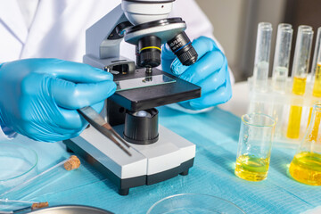 Examine a tick in a lab. Selective focus.