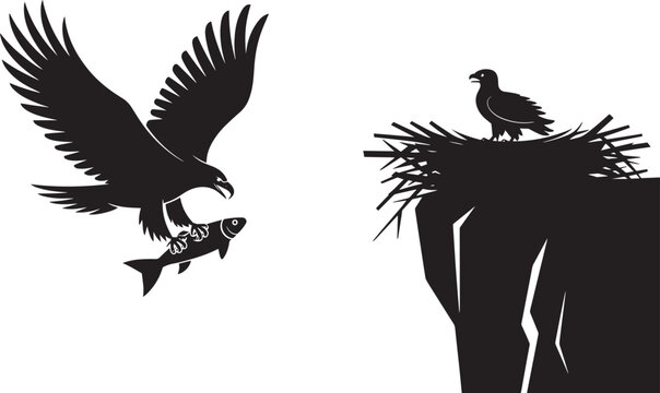 Powerful eagle silhouette delivering prey fish to aerie nest on steep cliff face where young bird waits in dramatic outdoor scene