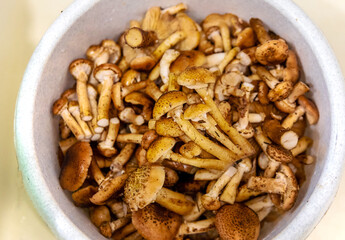 Mushrooms collected in the forest. Selective focus.