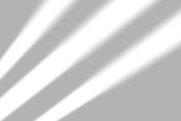 Soft sunlight streaming through window creates a peaceful, modern ambiance with gentle shadows and bright highlights