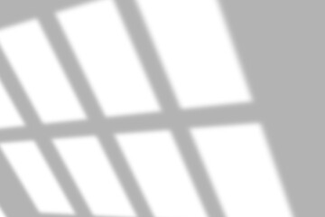 Soft window light casting geometric shadows on a white wall creates a calm modern backdrop