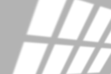 Soft window light creates a modern, minimalist texture overlay for elegant designs and clean, bright backgrounds