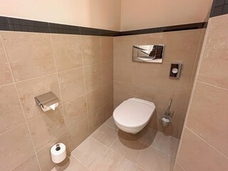 Wall-hung toilet with closed lid in stylish bathroom