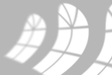 Soft sunlight casts elegant window pane shadows across a clean, modern backdrop creating a serene atmosphere.