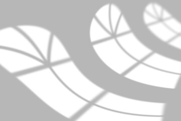 Soft window light casting elegant shadows on a minimalist gray wall, perfect for modern design backdrops.