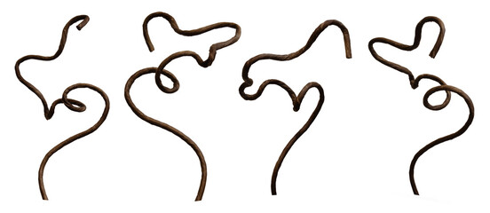 Curly vines dry twisted prickly plant twigs isolated squiggles design elements © Pavel