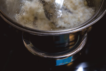 Metal pan with a transparent lid