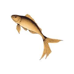 Little fishes hand drawn with ink on white glowing background. Traditional oriental ink painting sumi-e, u-sin, go-hua. Contains hieroglyph - double luck