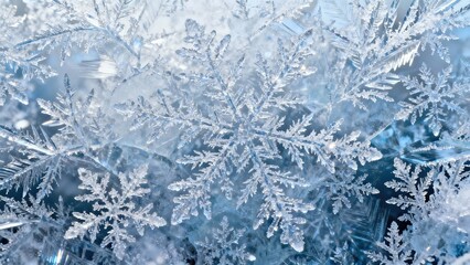 Macro photography of real snowflakes on a blue background. Winter background with beautiful ice crystals, frosty patterns and a cold texture. Christmas abstract holiday wallpaper for your design